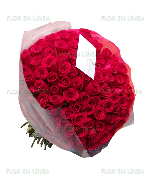 Amor de Rosas 04